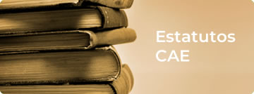 Consejo Andaluz de Colegios de Enfermería - Normativa Colegial - Estatutos CAE